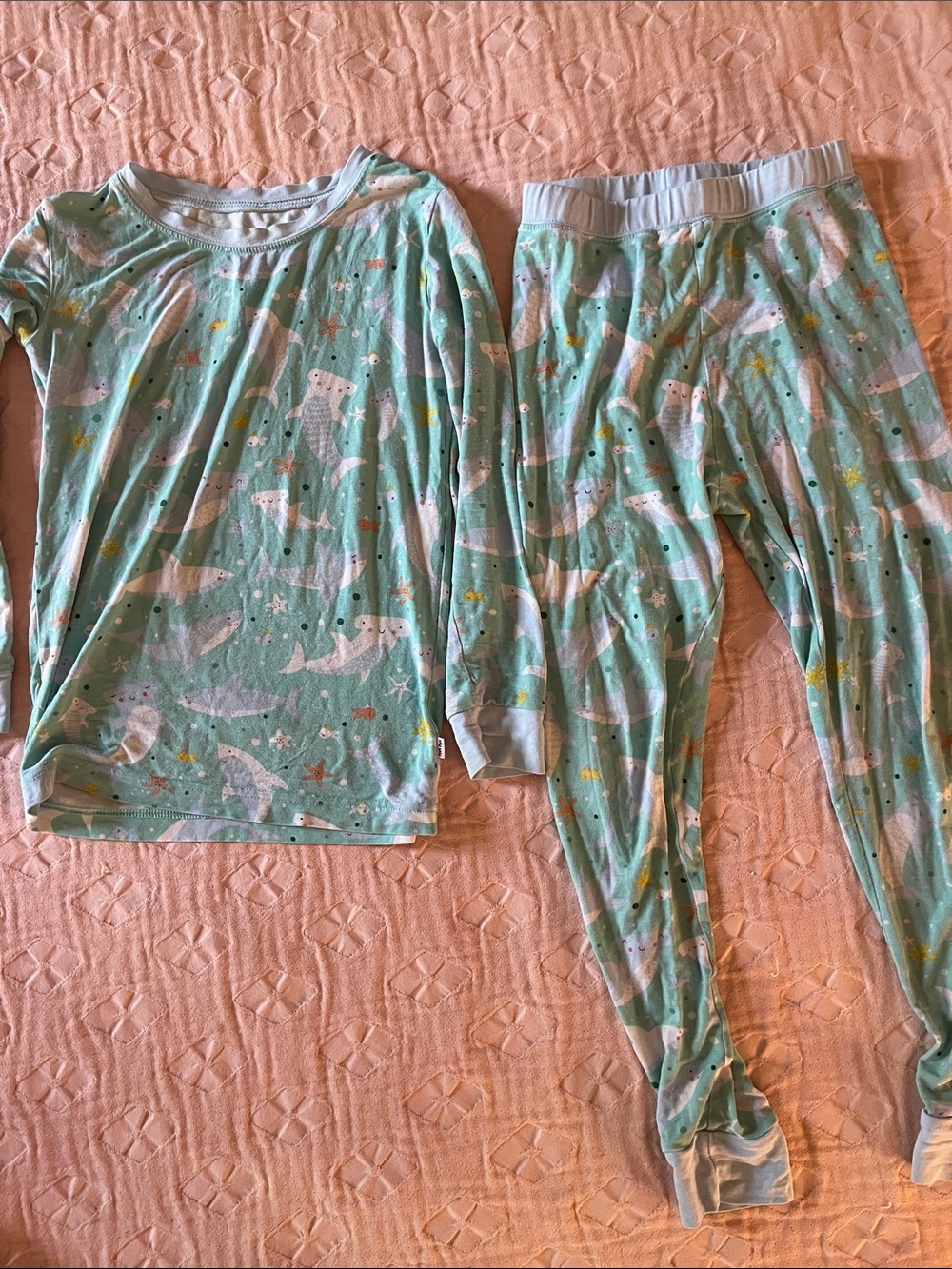 Little Sleepies shark soiree pajamas 4T